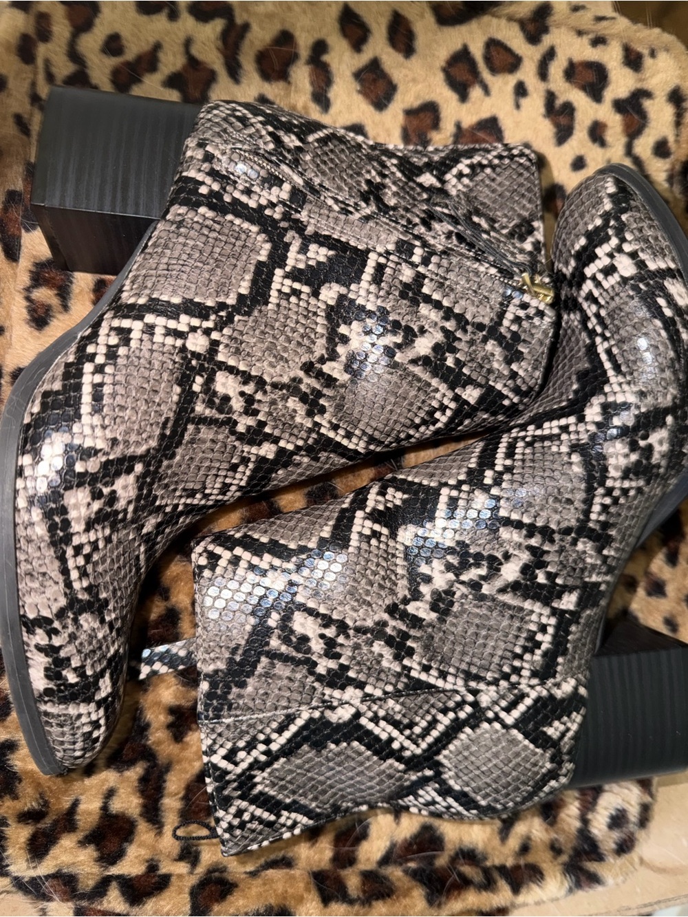 Women’s Snake-Print Ankle Boots in Black and Taupe with Chunk Heel
